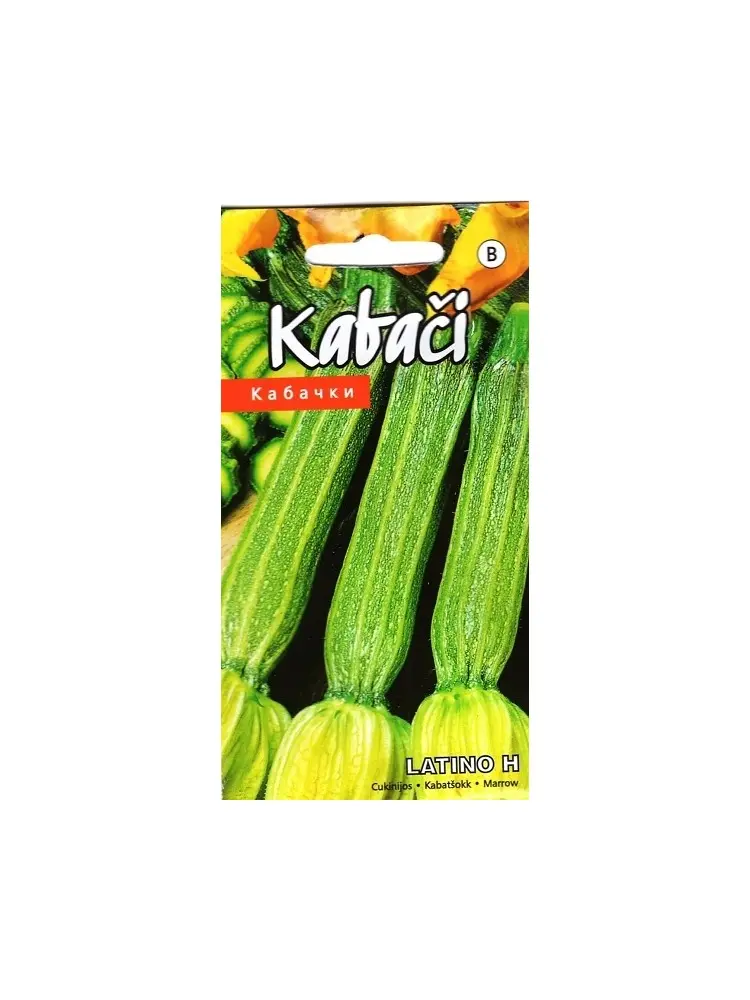 Kabatðokk Latino H 5 s
