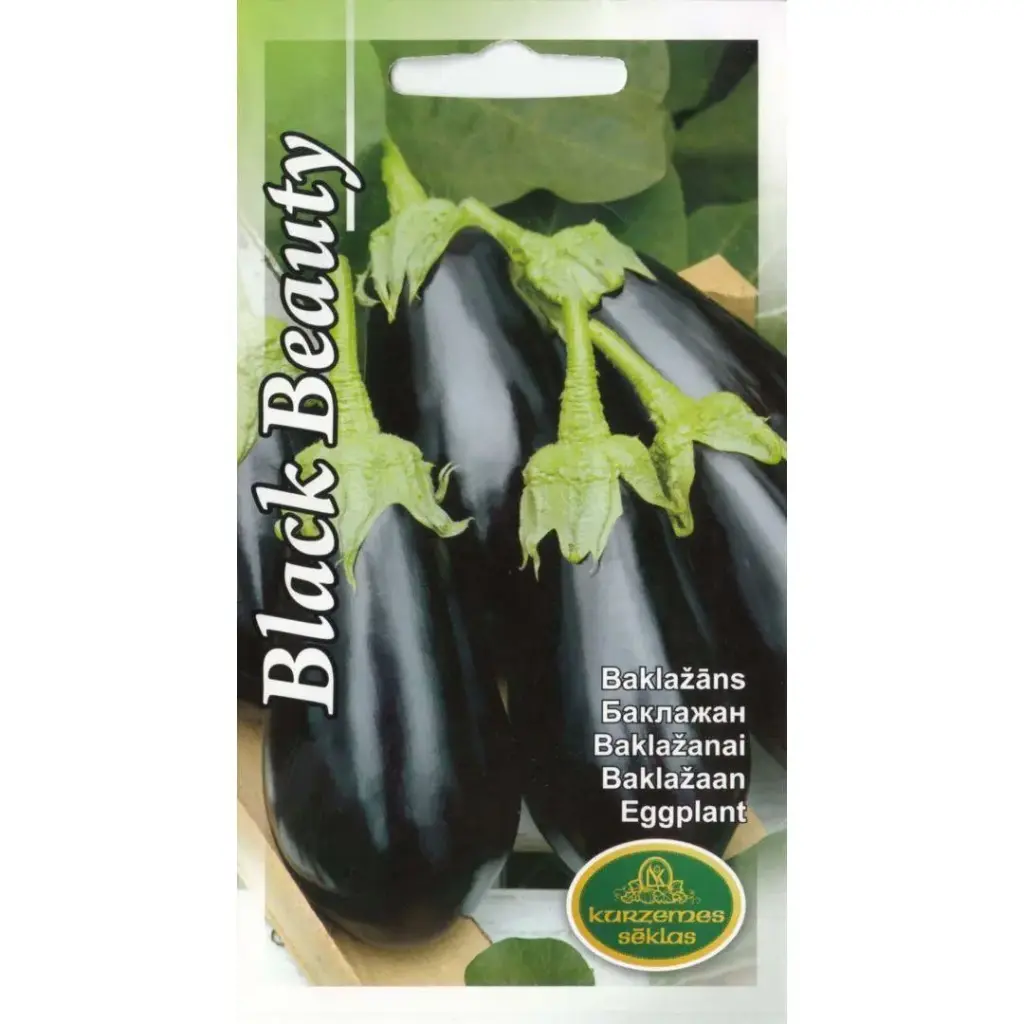 Kabatsokk Black Beauty 2g