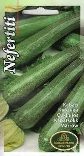 Kabatšokk Nefertiti 1 g