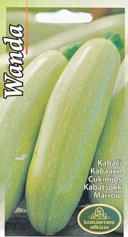 Kabatšokk Wanda 1 g
