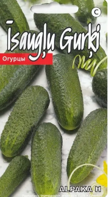 Kurk Alpaka H 15s
