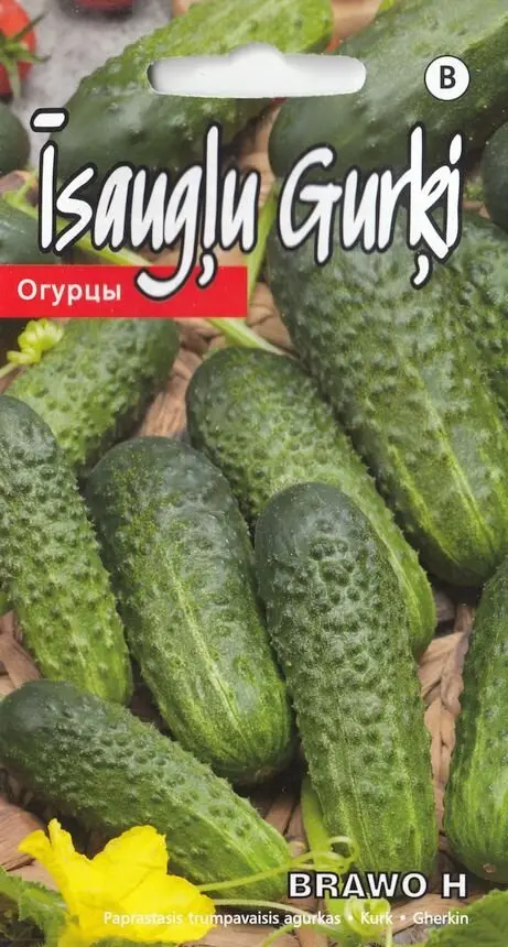 Kurk Brawo H 1g