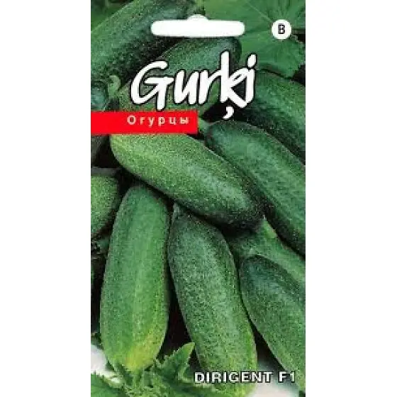 Kurk Dirigent F1 avamaale 15 s