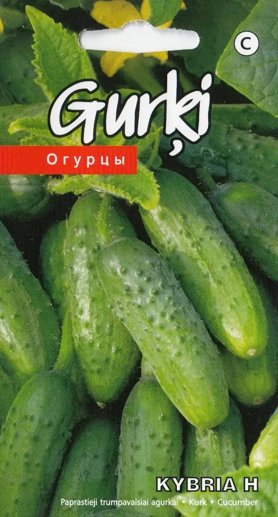 Kurk Kybria H 15 s