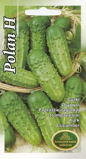 Kurk Polan F1 avamaale 1,5  g
