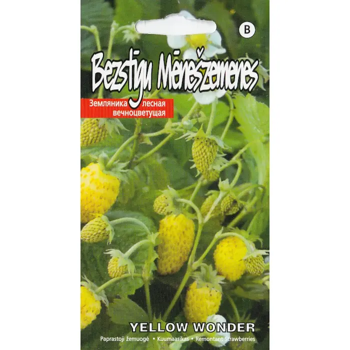 Kuumaasikas Yellow Wonder 0,1 g