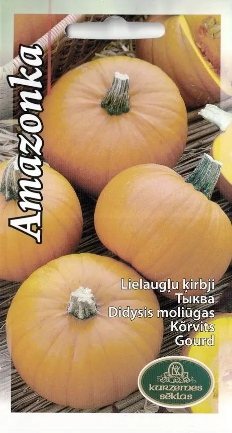 Kõrvits Amazonka 1g