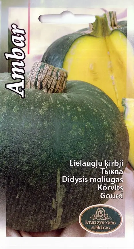 Kõrvits Ambar 1g