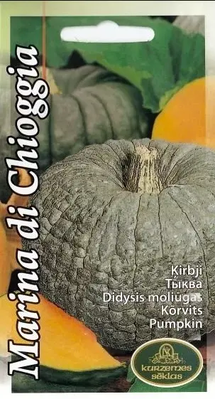 Kõrvits Marina di Chioggia 5 s