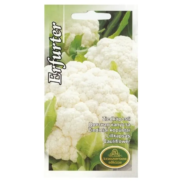 Lillkapsas Erfurter 1,5 g