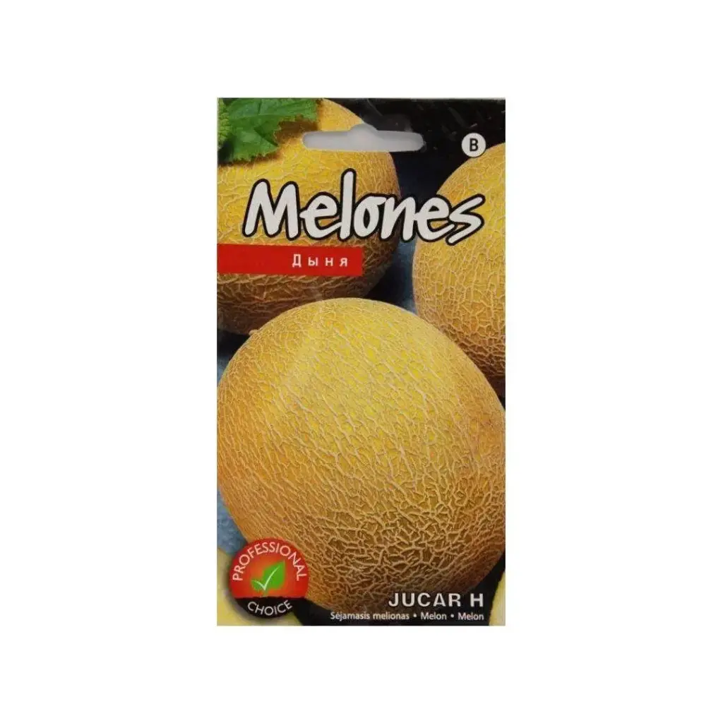 Melon Jucar H 1g