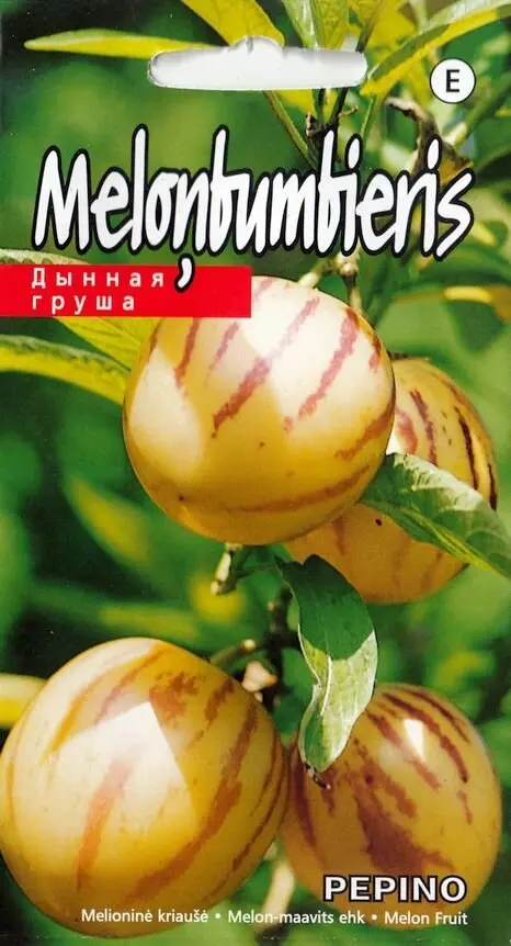 Melon-maavits Pepino 10s