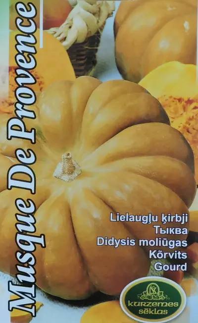 Muskaatkõrvits Musque De Provence 1 g