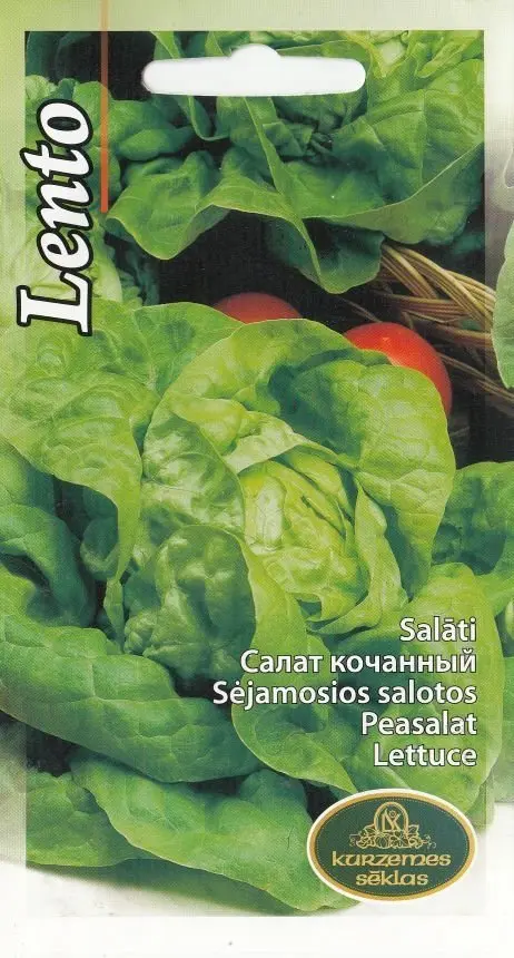 Peasalat Lento 1 g