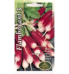 Redis Flamboyant 3 4g