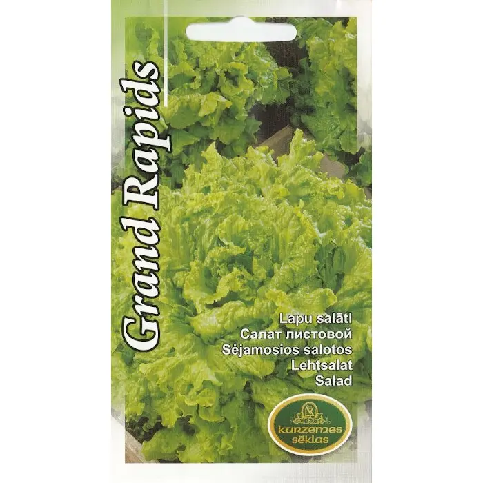 Salat Grand Rapids 2 g