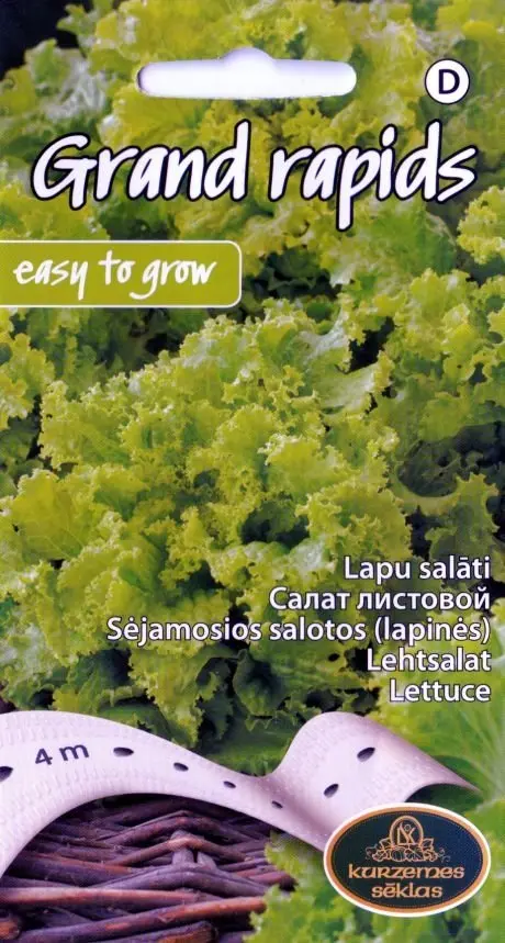 Salat Grand Rapids Seemned 4 m lindil