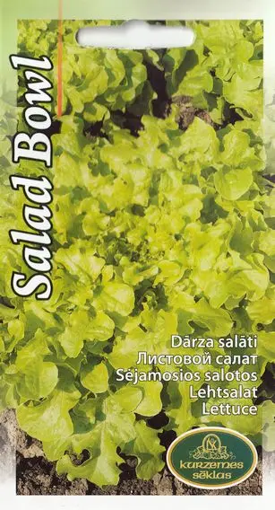 Salat Salad Bowl 1g