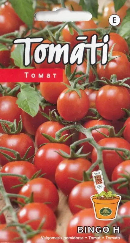 Tomat Bingo H 0,1g
