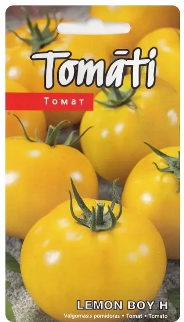Tomat Lemon Boy 5s