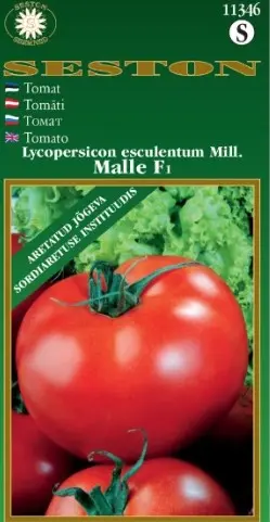 Tomat Malle F1 k.hoonesse 0,1 g