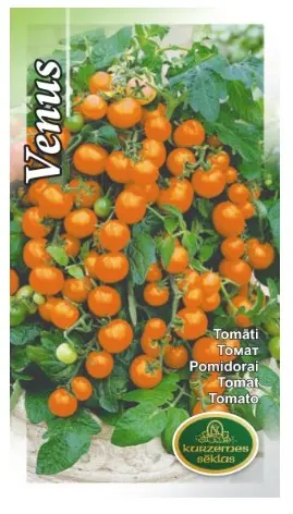Tomat Venus (oraanž rõdutomat) 0,1 g