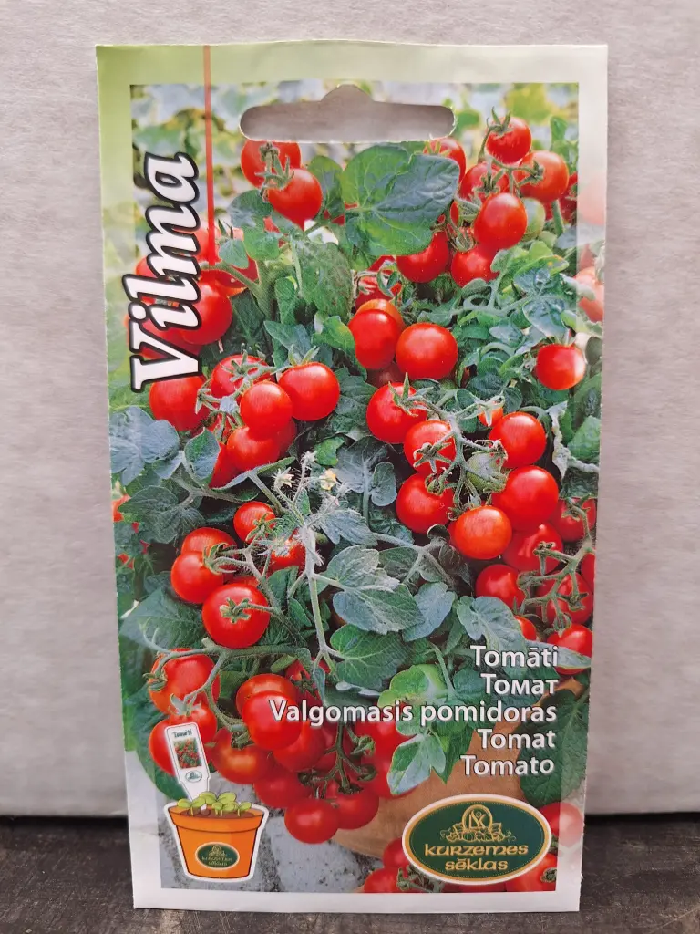 Tomat Vilma amplisse 0,1 g