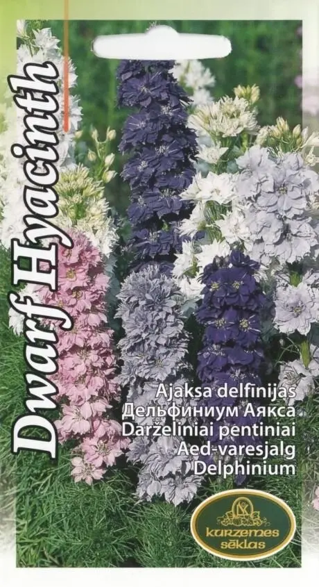 Aed-varesjalg (Ajaksa delfiinium) 0,5 g