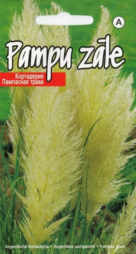 Argentiina pamparohi 0,1 g