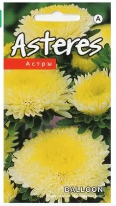 Aster Balloon kollane 0,2 g