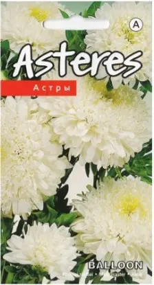 Aster Balloon valge 0,2 g