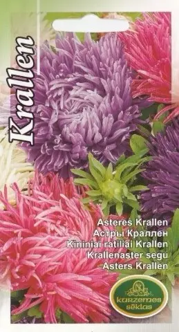 Aster krallen segu 0,5 g