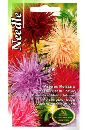 Aster meister segu 0,5 g