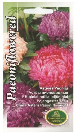 Aster pojeng segu 0,5 g