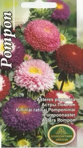 Aster pompoon segu 0,5 g