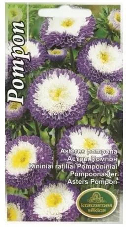Aster pompoon sinine 0,5 g