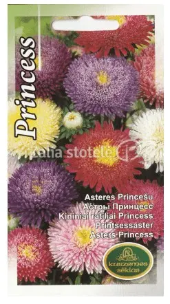 Aster printsess segu 0,5 g