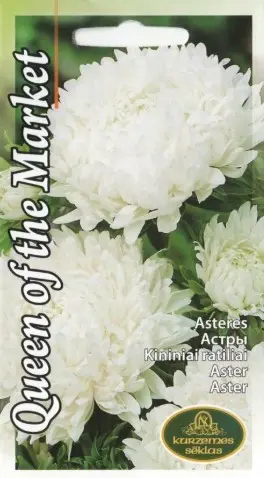Aster Queen of the Market valge 0,5 g