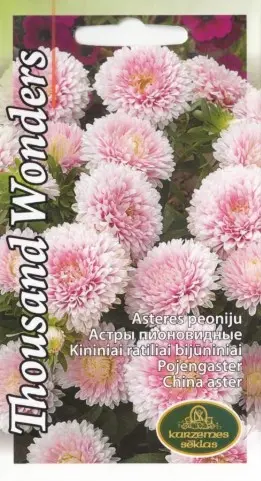 Aster Thousand Wonders lõheroosa 0,3 g