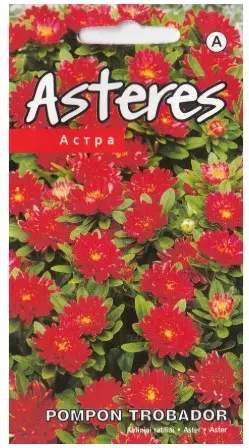 Aster Trobador punane 0,2 gr