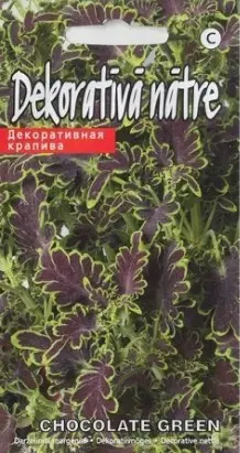 Dekoratiivnõges Chocolate Green