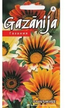 Gasaania Sunshine Hybrids segu 0,1 g