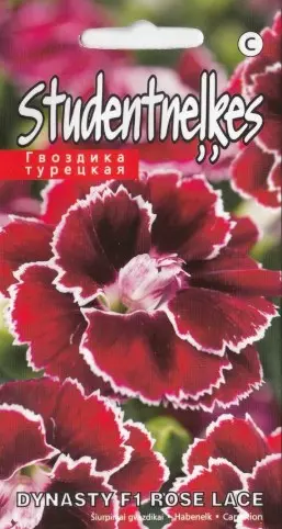 Habenelk Dynasty F1 Rose Lace 10 s