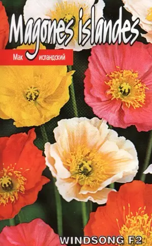 Islandi magun Windsong F2 0,05 g