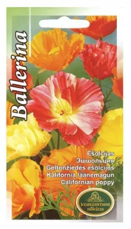 Kalifornia läänemagun Ballerina 0,5 g