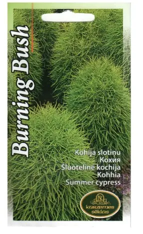 Kohhia Burning Bush 1 g