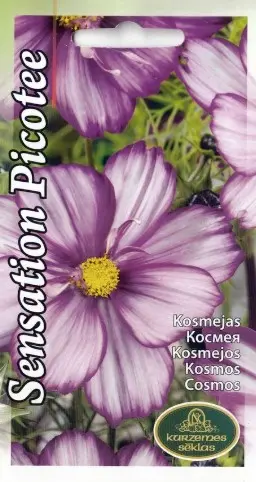 Kosmos Sensation Picotee 0,4 g