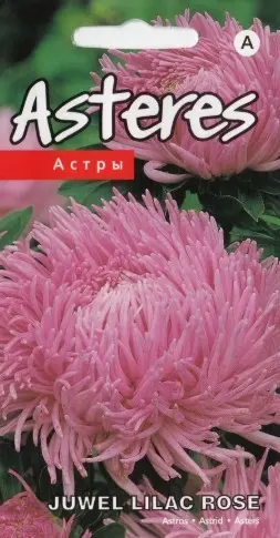 Krallenaster Juwel Lilac Rose 0,3 g