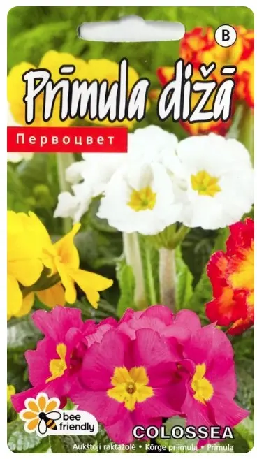 Kõrge priimula Colossea 0,1g