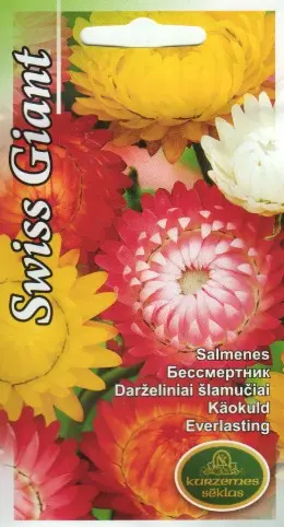 Käokuld Swiss Giant 1 g
